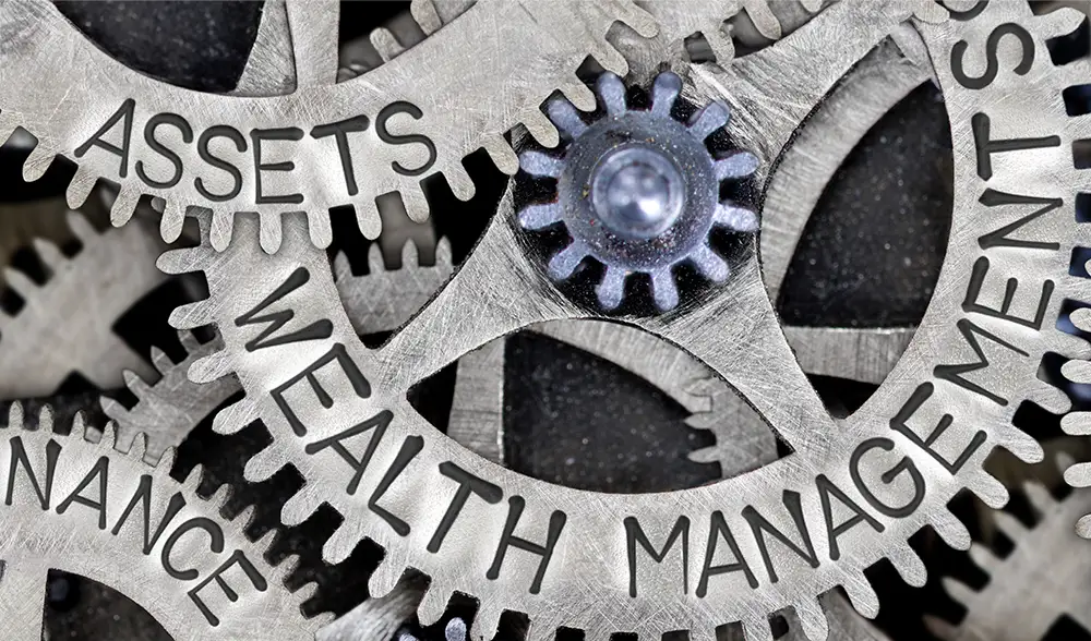 Asset management vs wealth management, which is right for you? (+ examples)